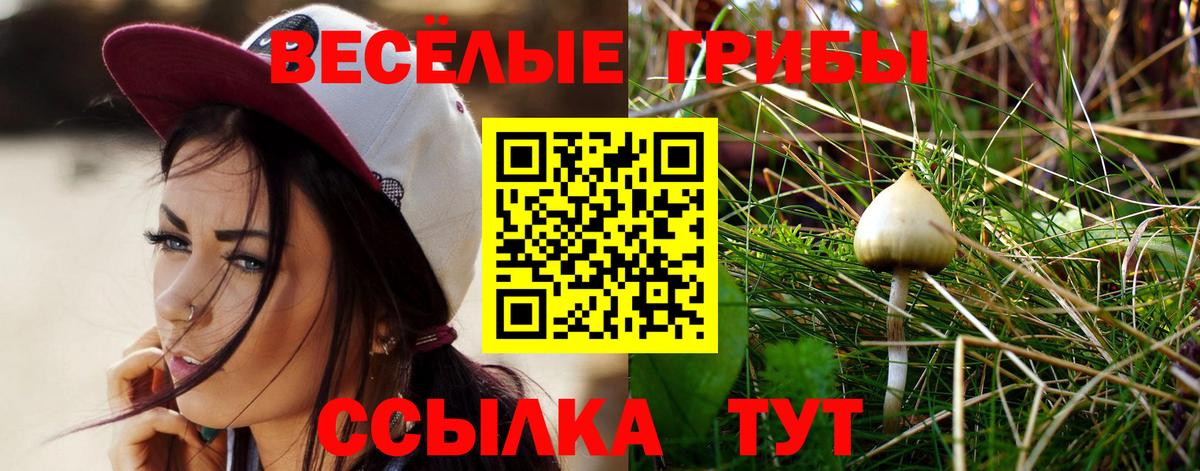 Лесной  Галлюциногенные грибы Cubensis  Вход с VPN  Псилоцибиновые грибы ЛСД 