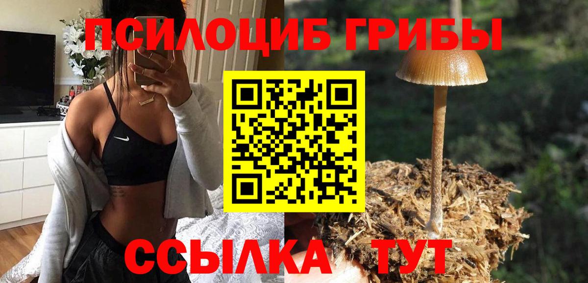 Галлюциногенные грибы мухоморы Лесной